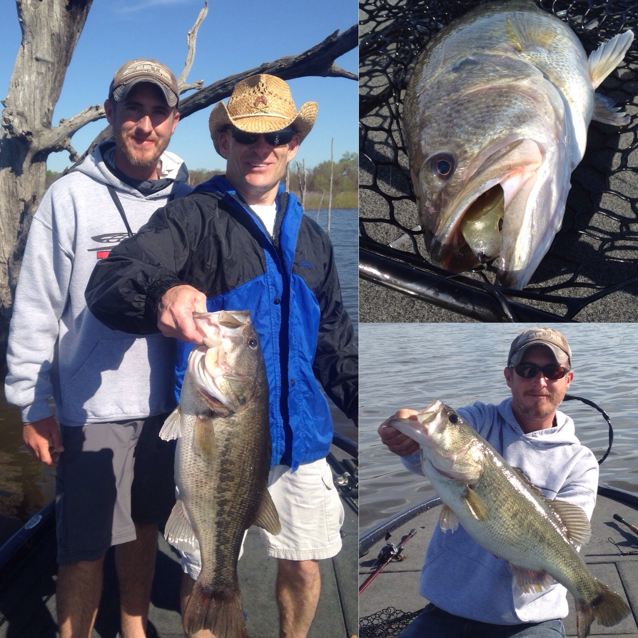 Lake Fork Report with Big Bass Pics! - LAKE FORK GUIDE ANDREW GRILLS